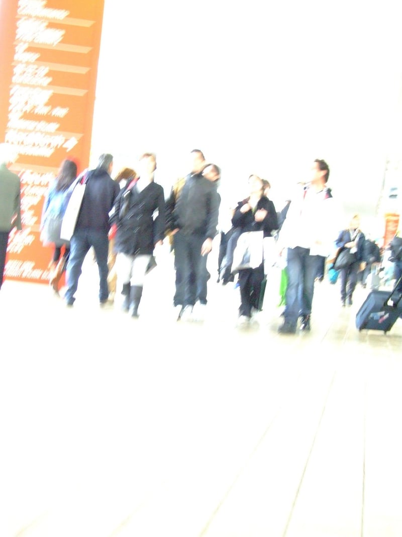 Celebrity Frenzy