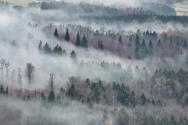 Mysterious Disappearance
